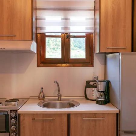 Elisabeth فوروفورو