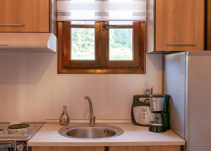 Elisabeth 沃尔沃罗