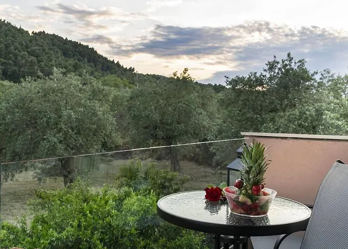 Elisabeth * 沃尔沃罗